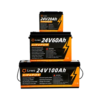 24 V LifePO4 Batterie